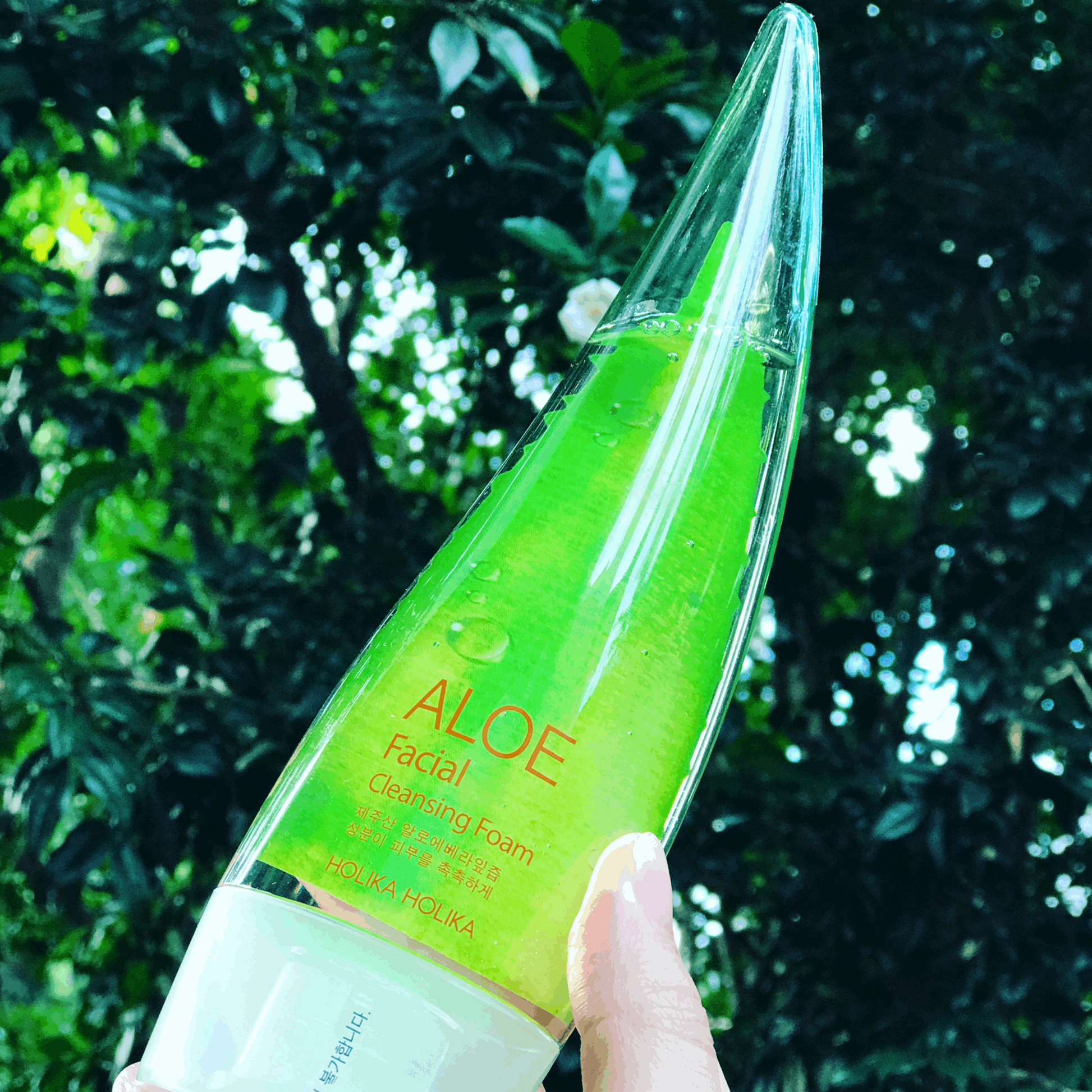 Holika holika aloe facial cleansing deals foam